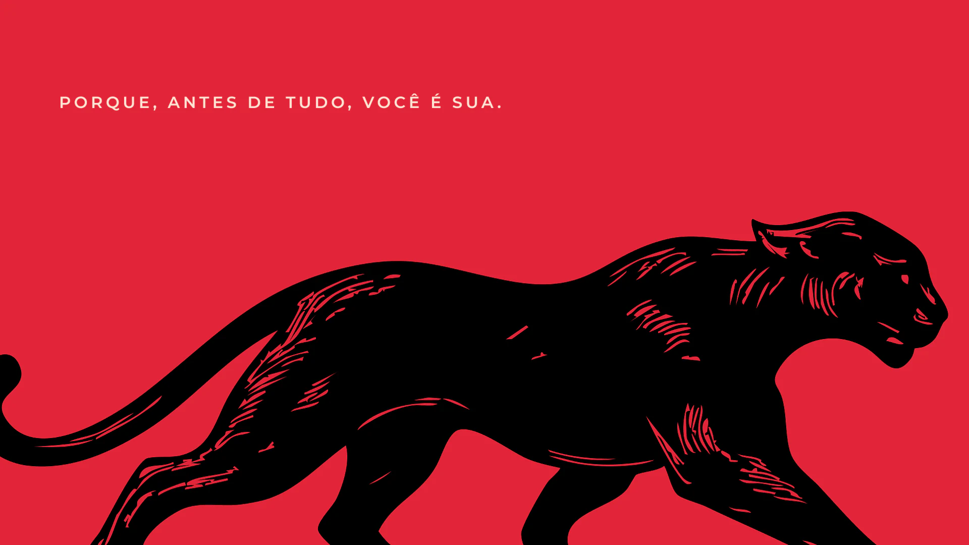 Apresentação do projeto Donna, imagem 2