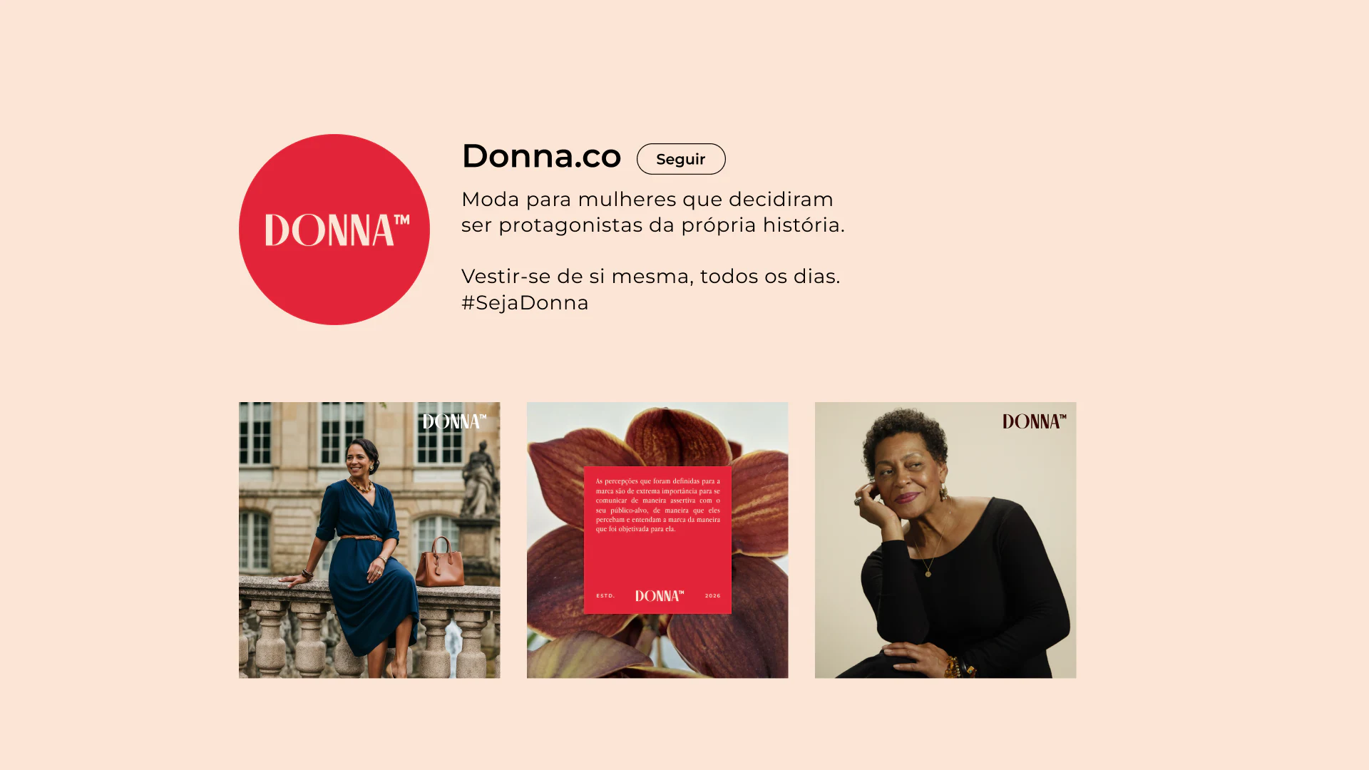 Apresentação do projeto Donna, imagem 3
