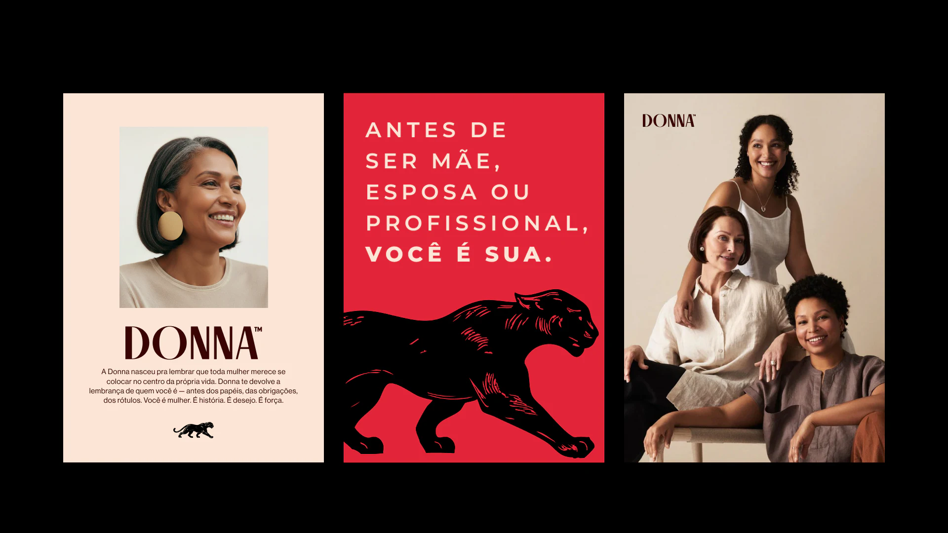 Apresentação do projeto Donna, imagem 5