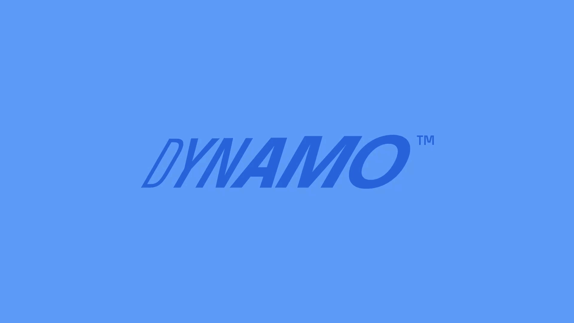 Dynamo project presentation 5