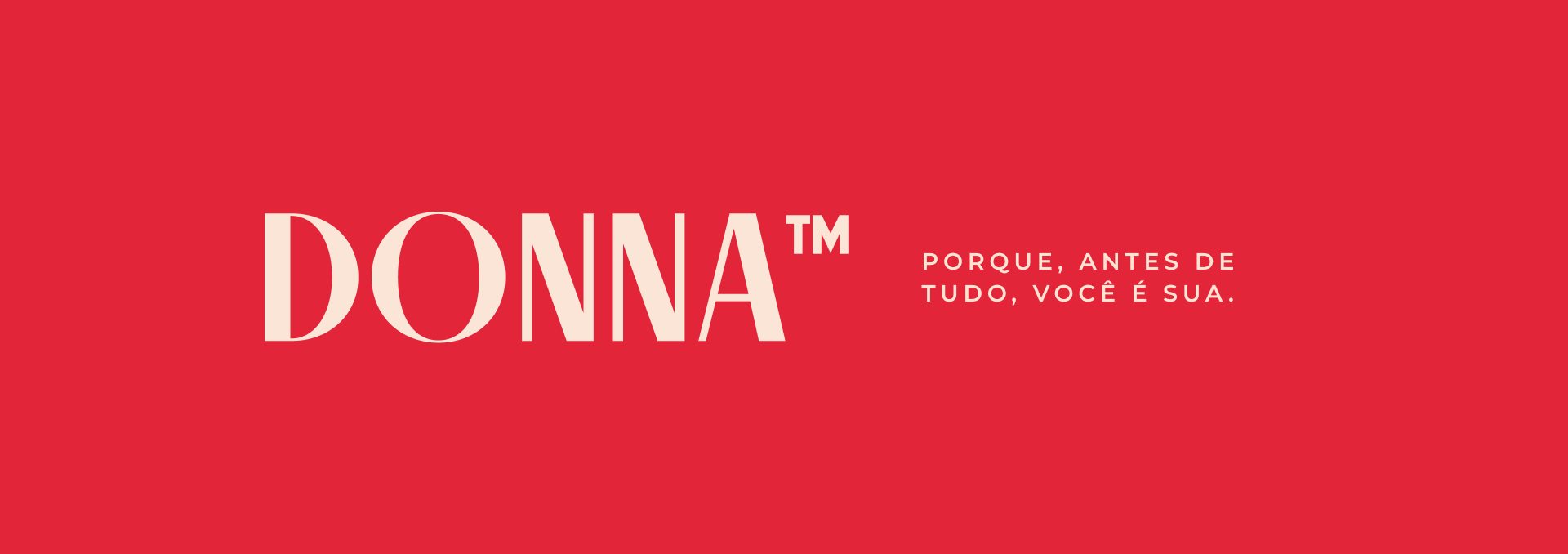 Donna project presentation 15